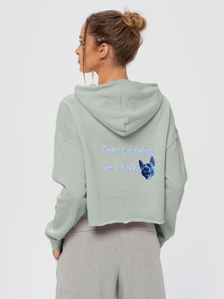 TROIB Cropped Hoodie in blue product image (1)