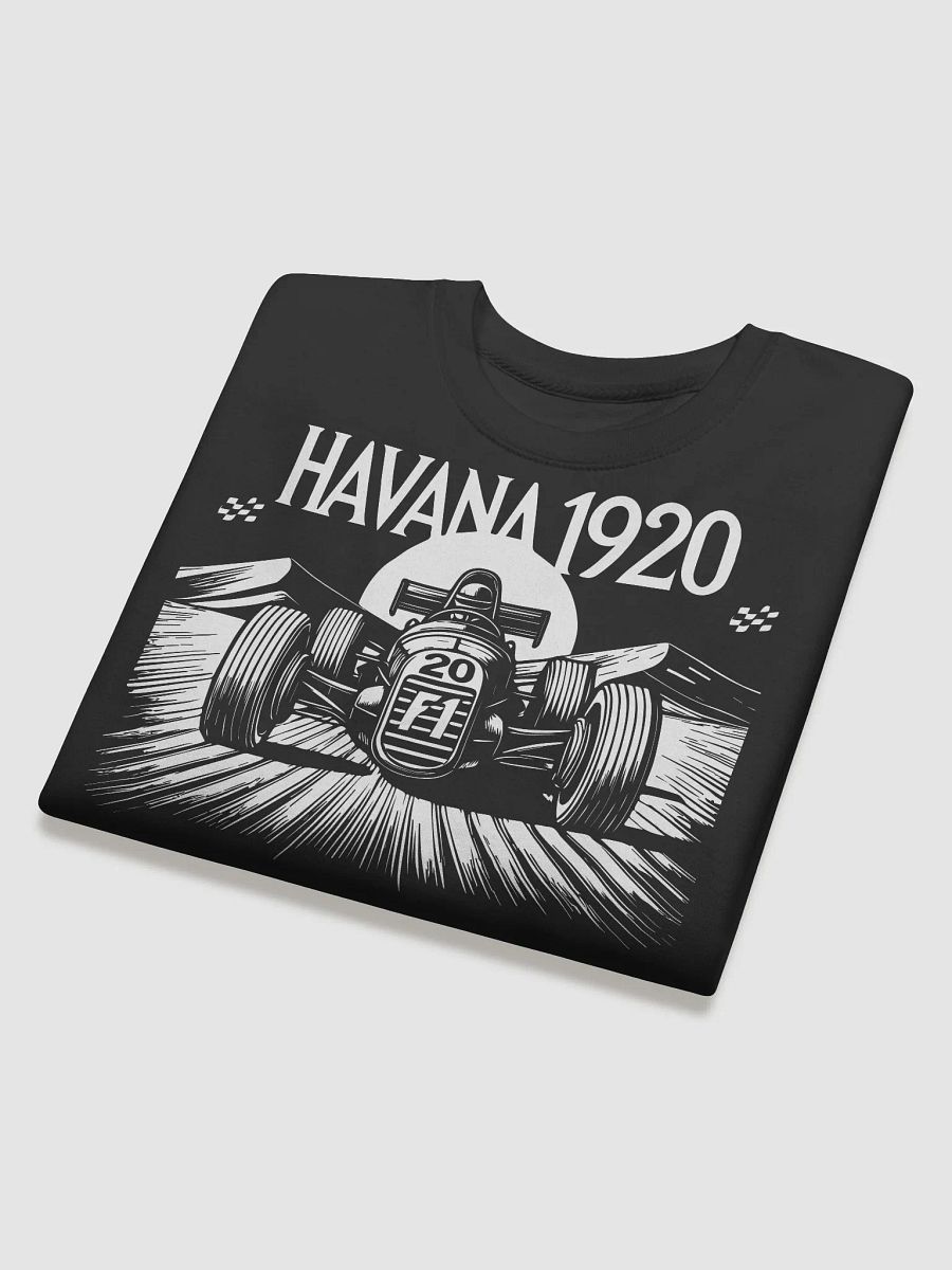 Vintage Havana 1920 Cotton Sweatshirt product image (3)