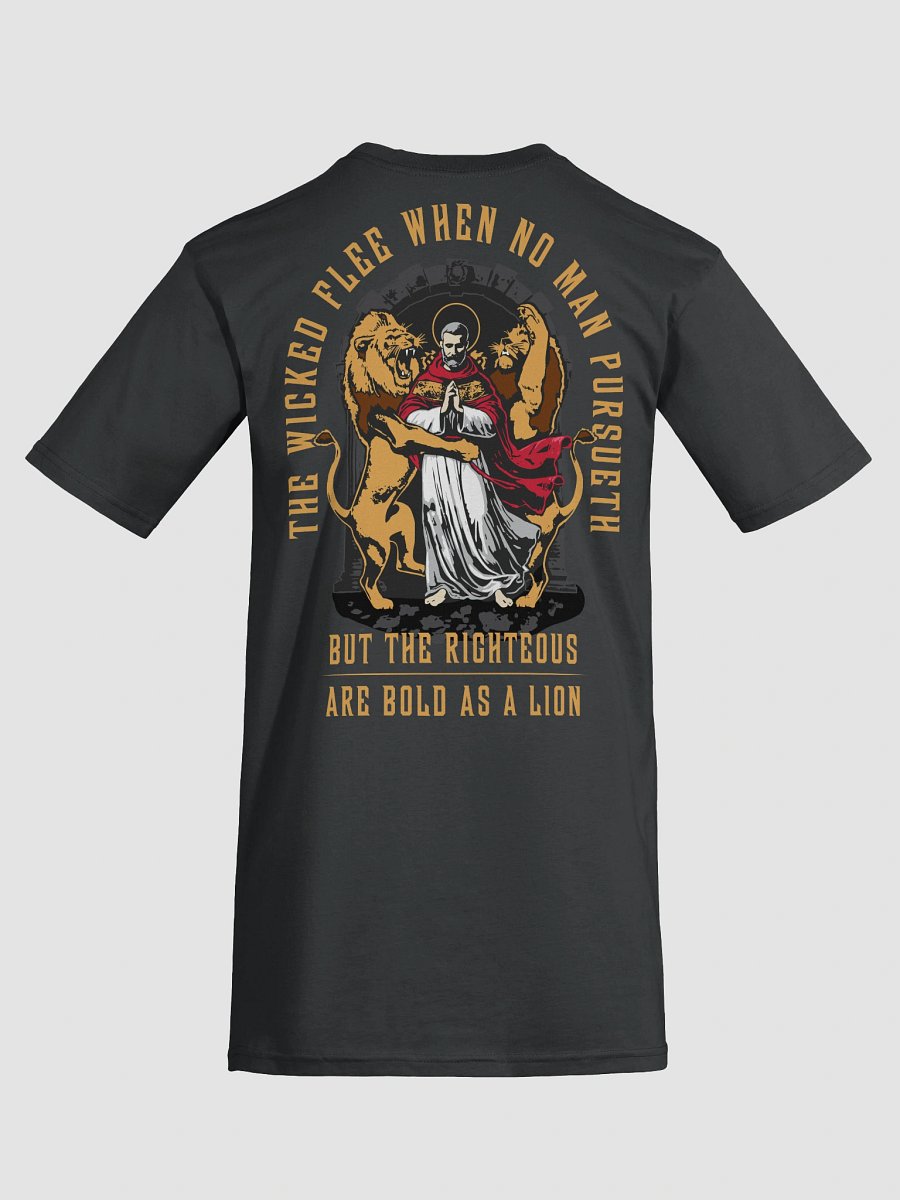 The rigtheous are BOLD as a LION - Heavy Tee product image (6)