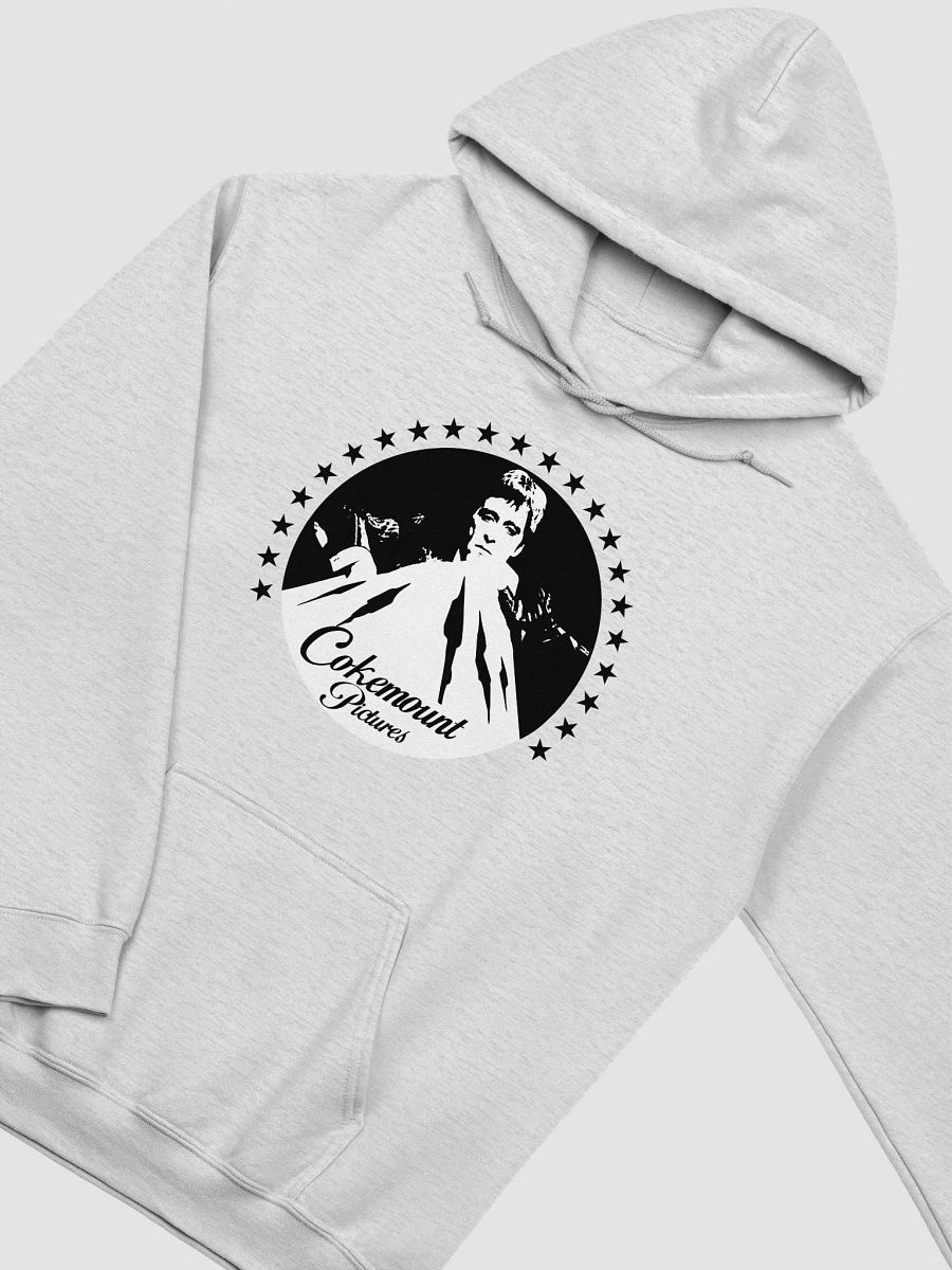 Cokemount Pictures Gildan Classic Hoodie product image (5)