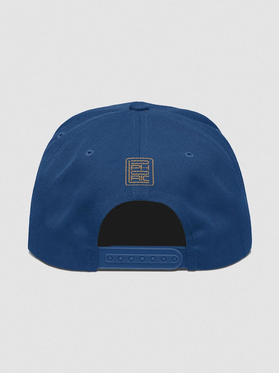 CEO Gold Snapback product image (4)
