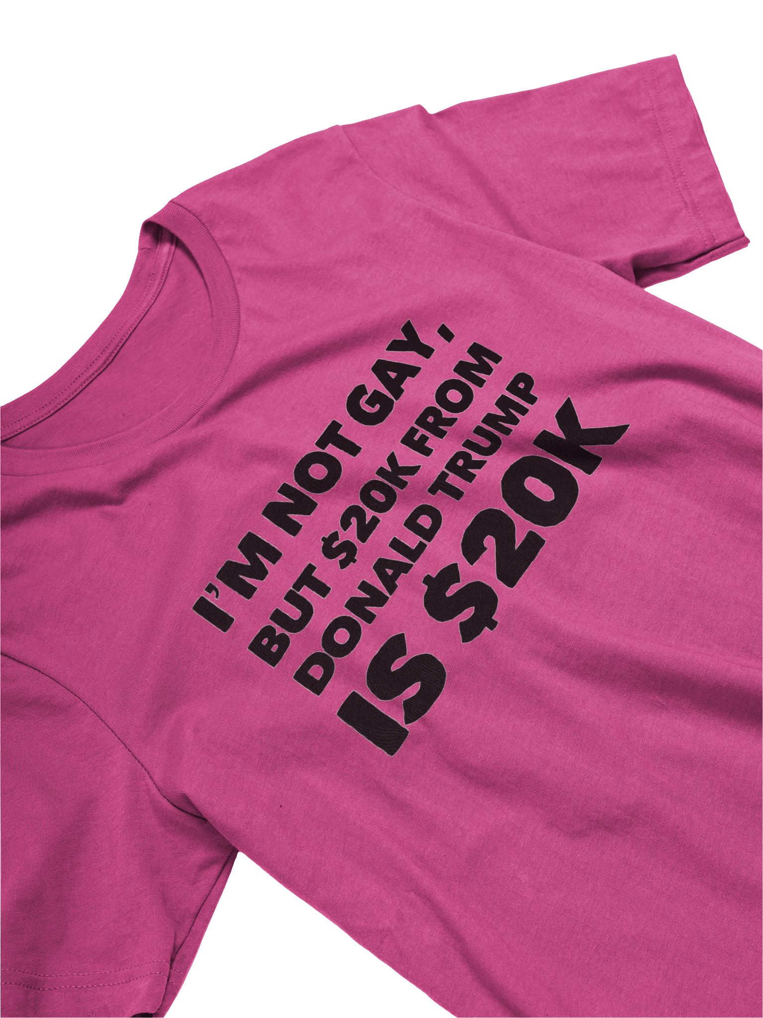 Not Gay $20K Tee Shirt product image (9)