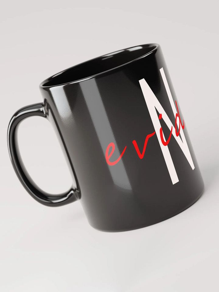 No Evidence Mug product image (2)