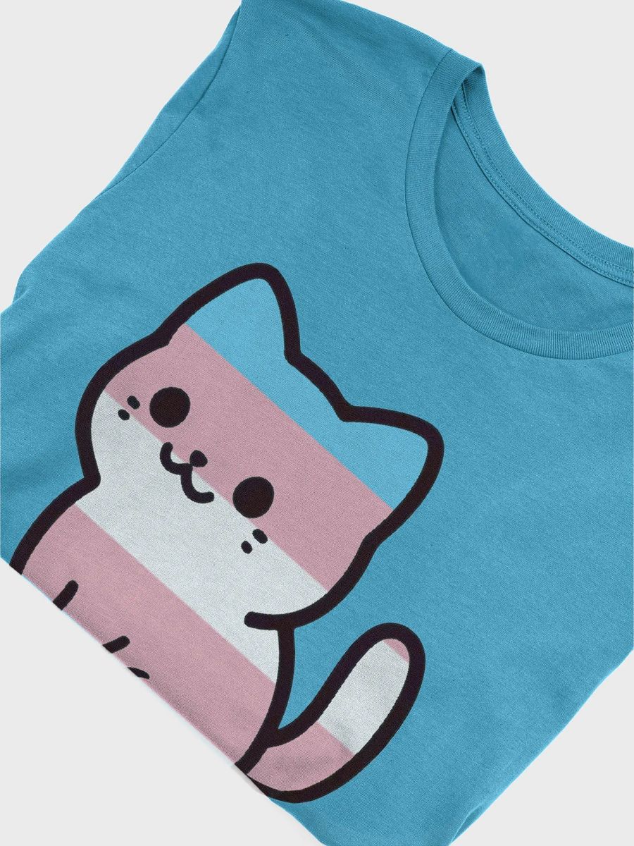 Transgender Pride Kitty Woman's Shirt product image (51)