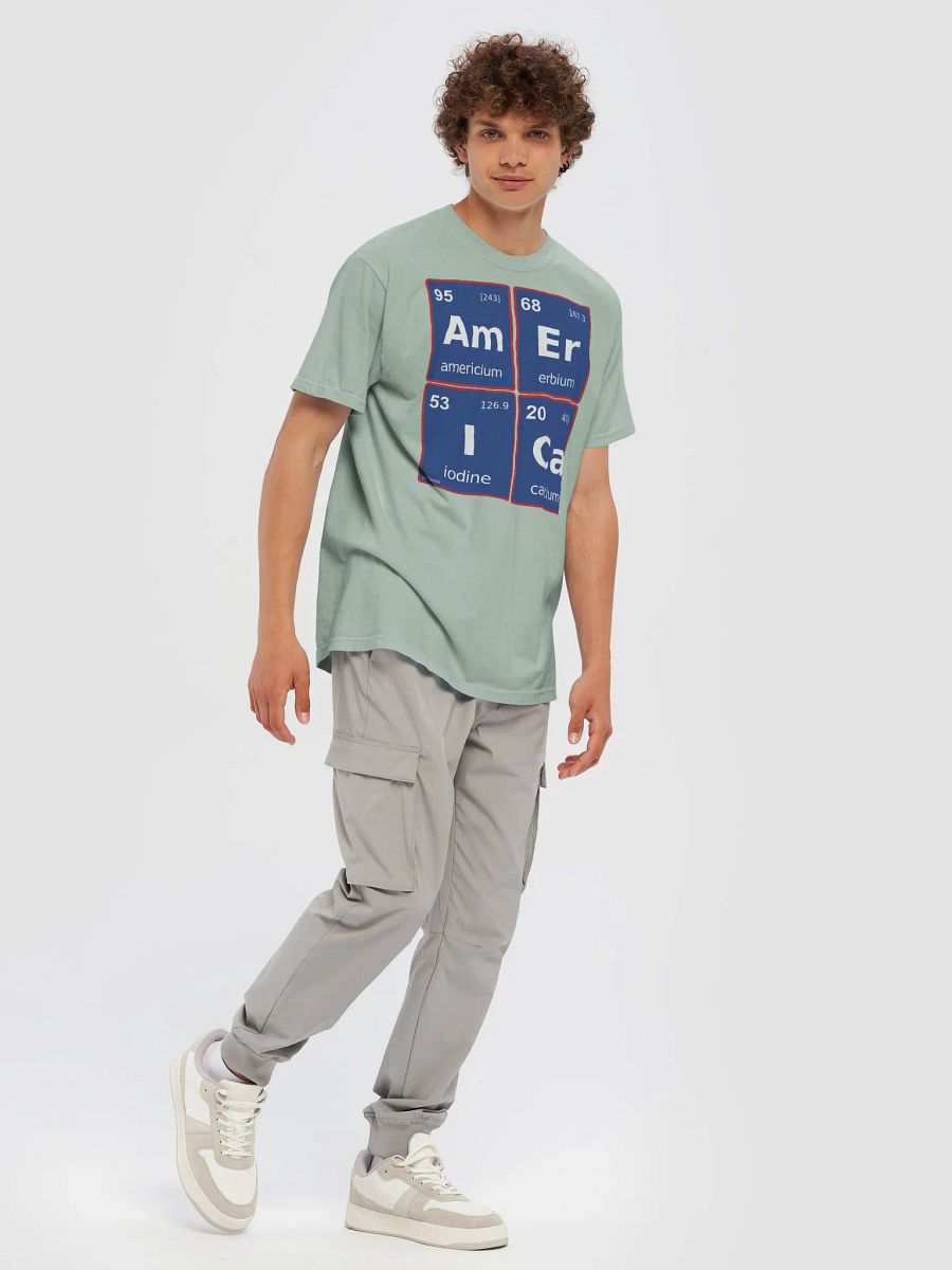 AMERICAN PERIODIC TABLE product image (98)