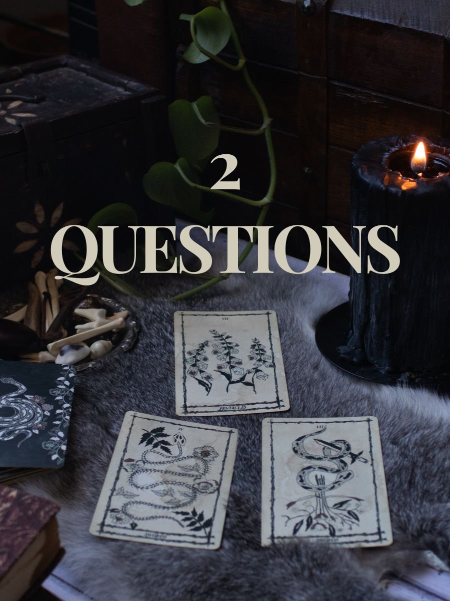 2 Question Reading product image (1)
