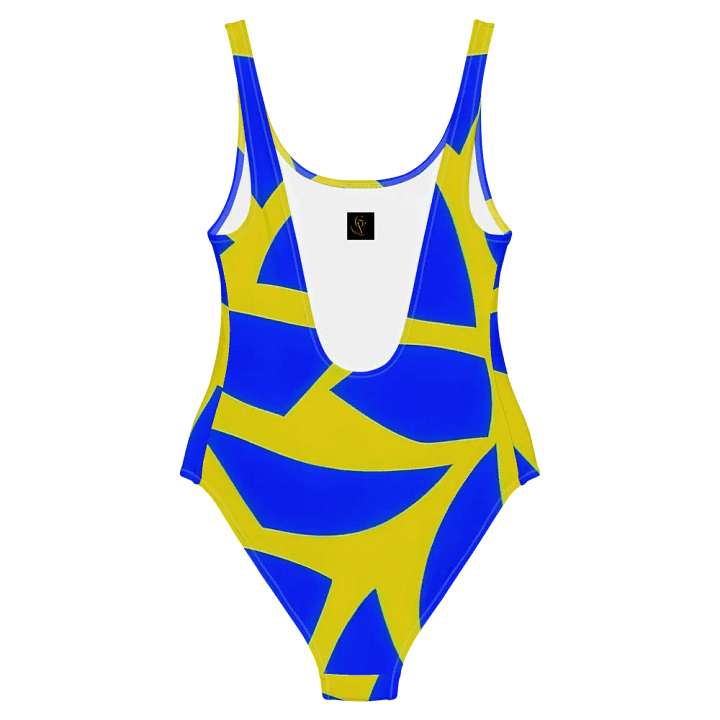 Retro Revival Swimsuit product image (2)