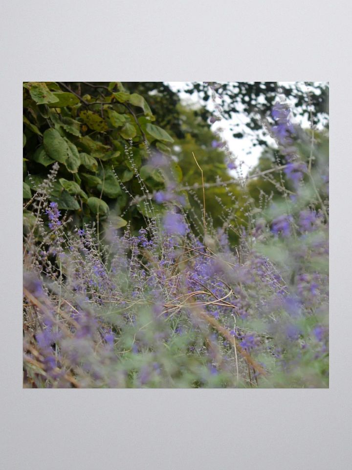 A Study in Flowers 16 - sticker version product image (1)