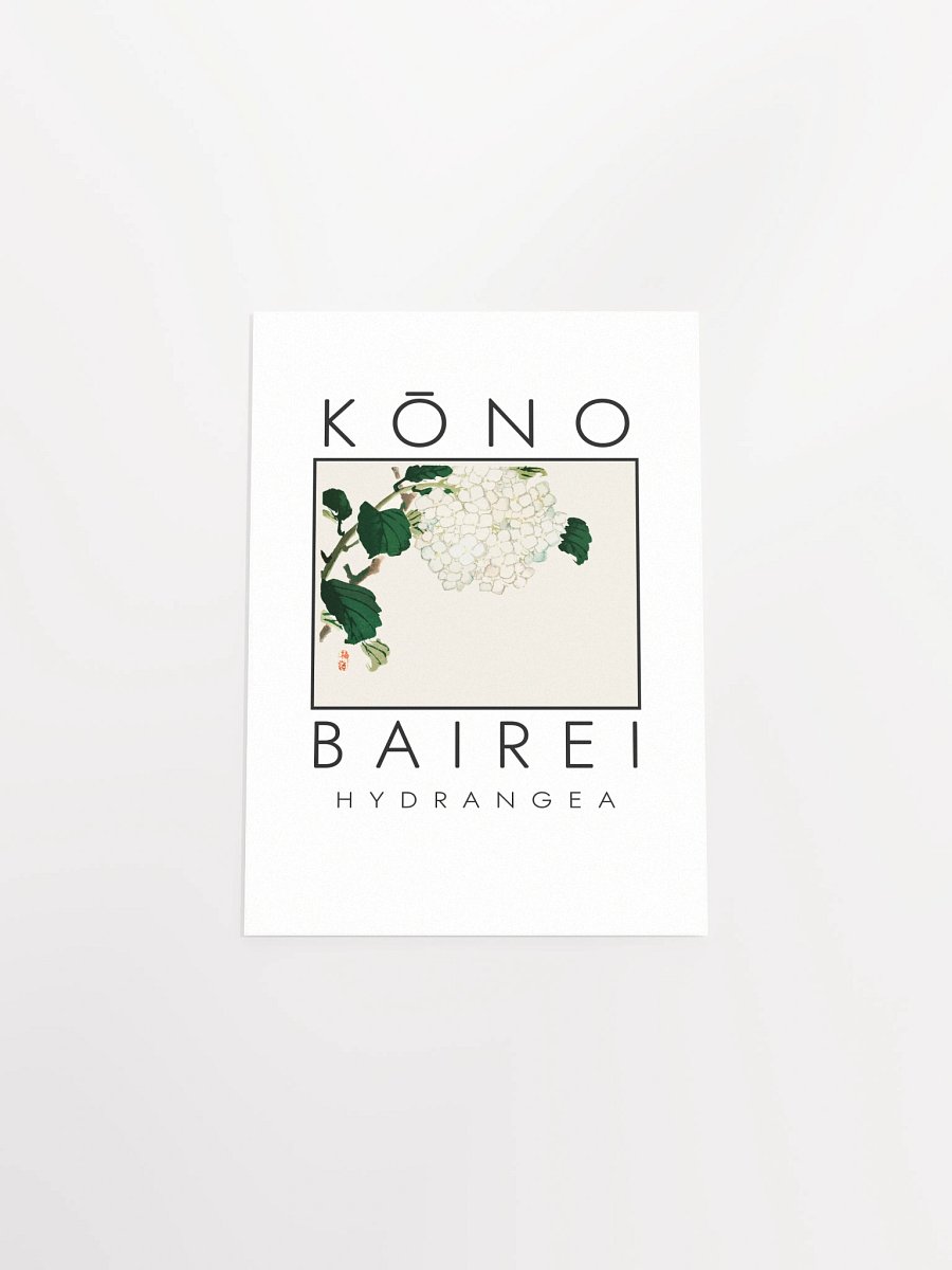 Kono Bairei Hydrangea Flower Poster product image (5)