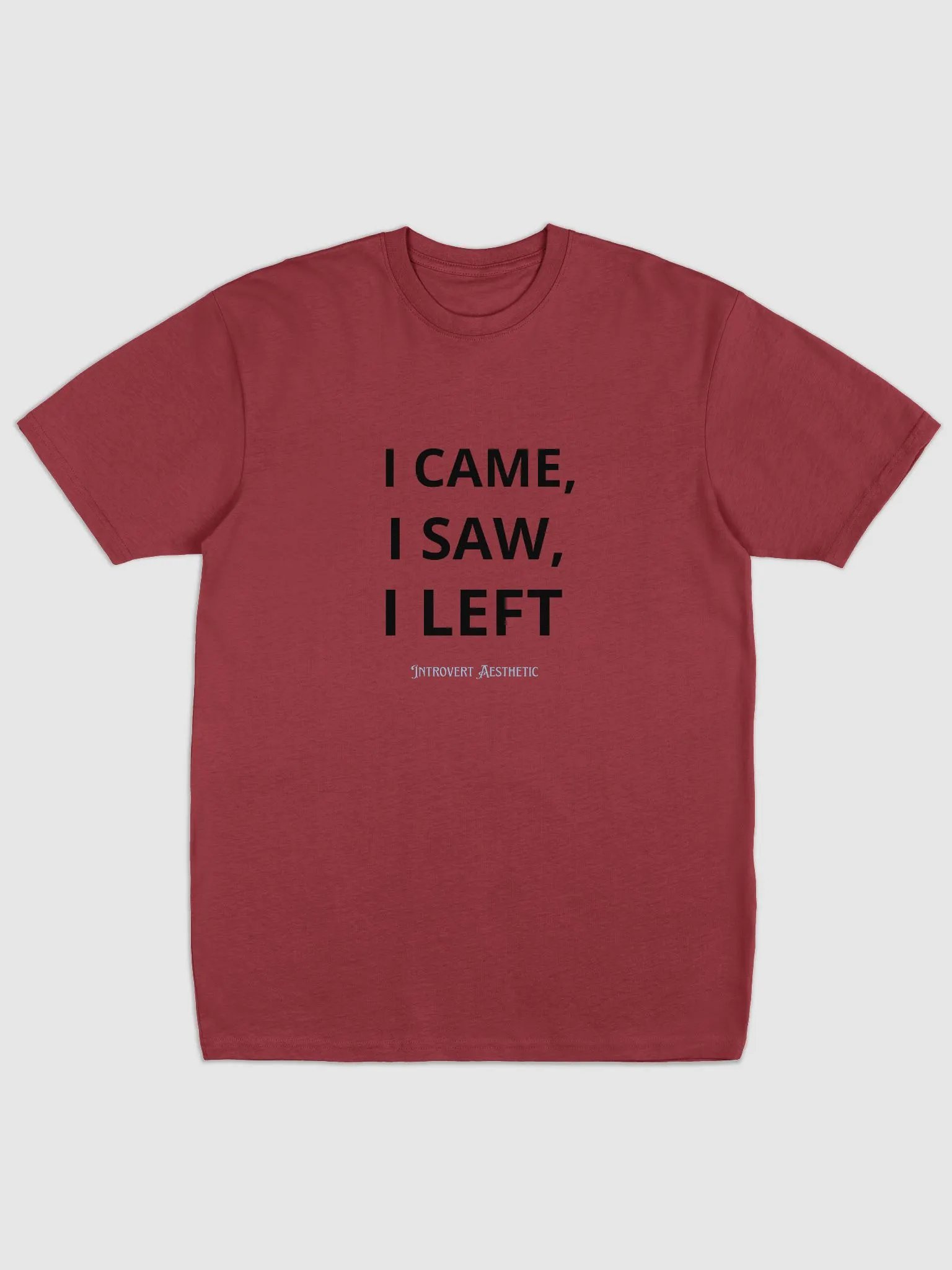 Cozy Introvert Aesthetic Tee product image (1)