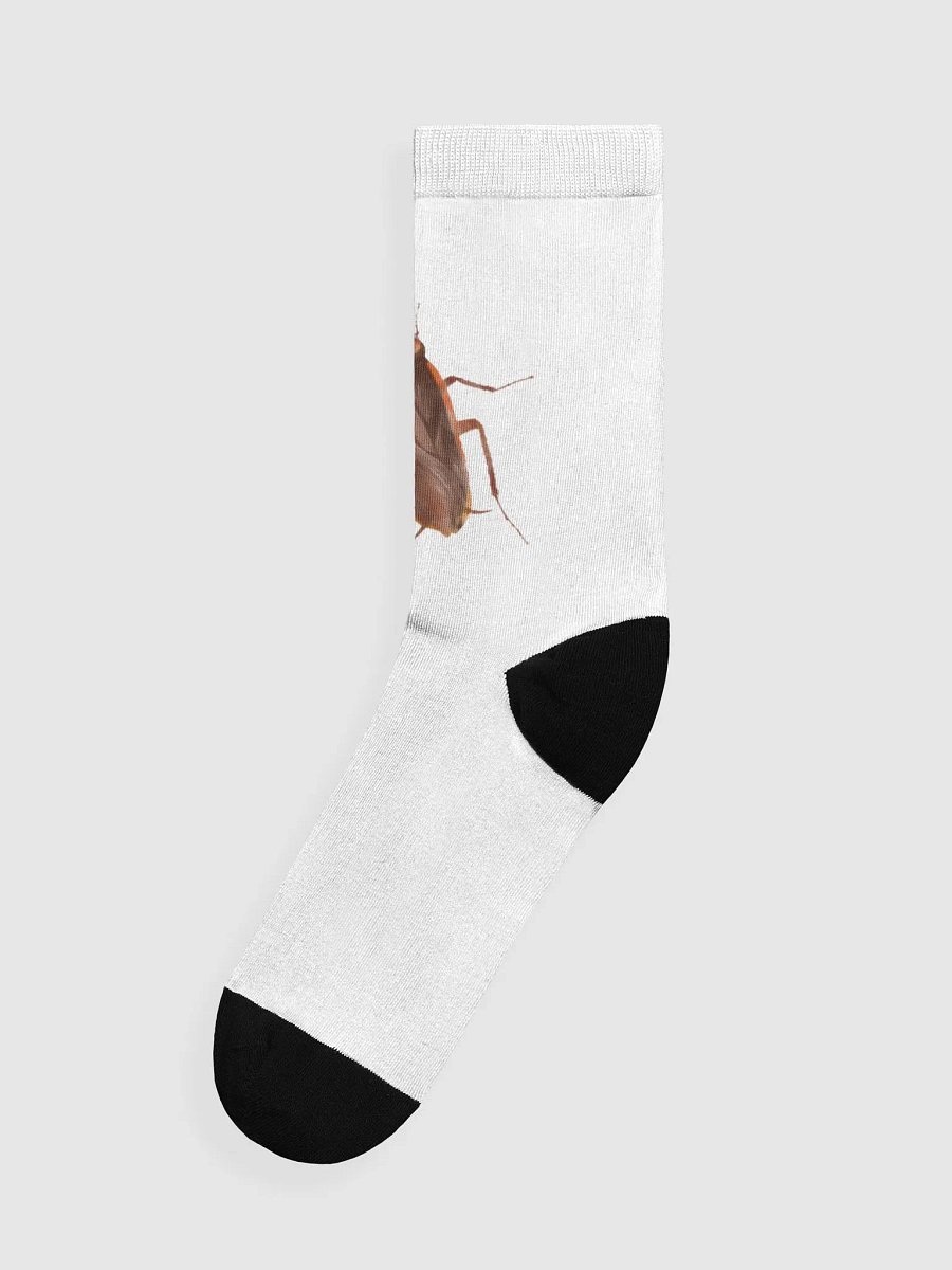 cock socks product image (3)