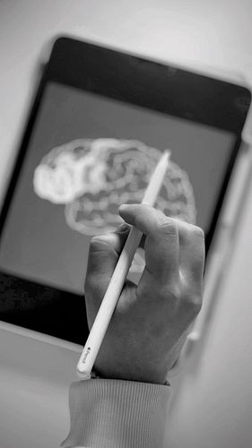 Human Brain | 🧠