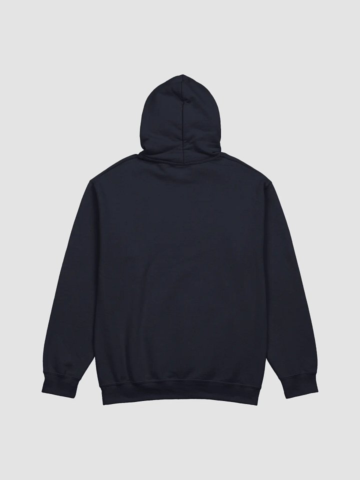 BUIII: Camp More, Worry Less Hoodie product image (14)