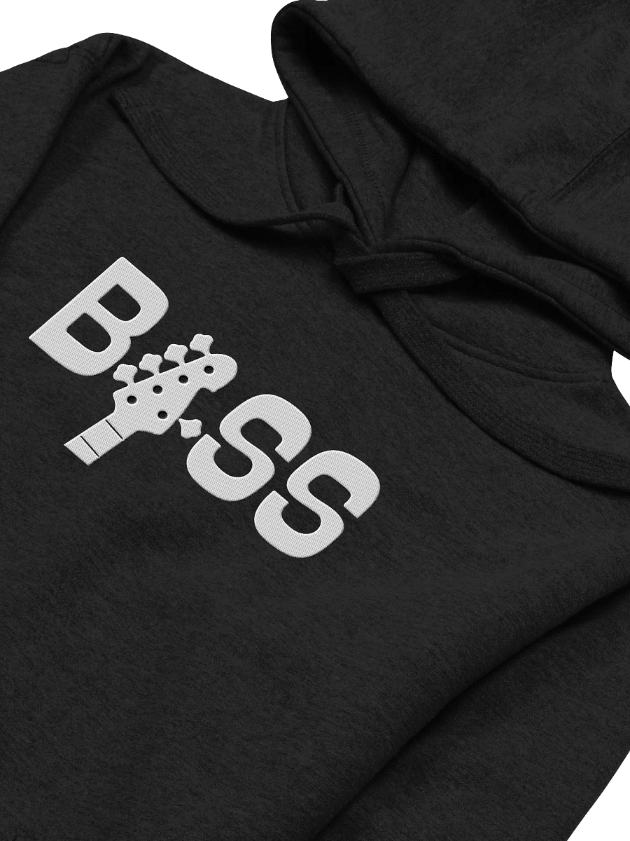 BASS Embroidered Hoodie product image (2)