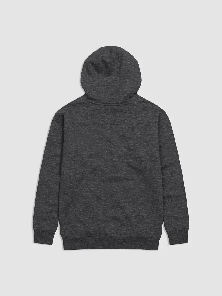 Roses + Redemption Lyric Hoodie product image (4)