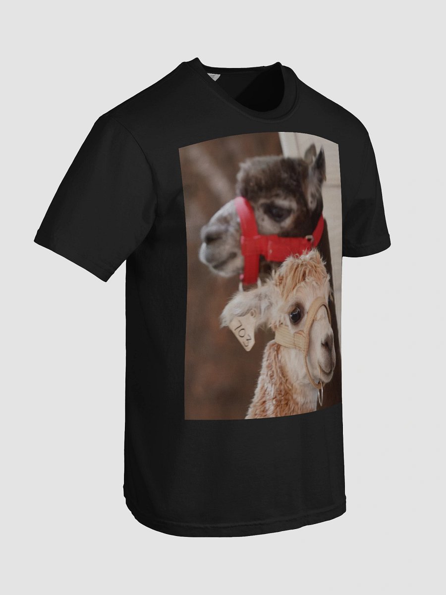 Alpaca Harmony T-Shirt product image (7)
