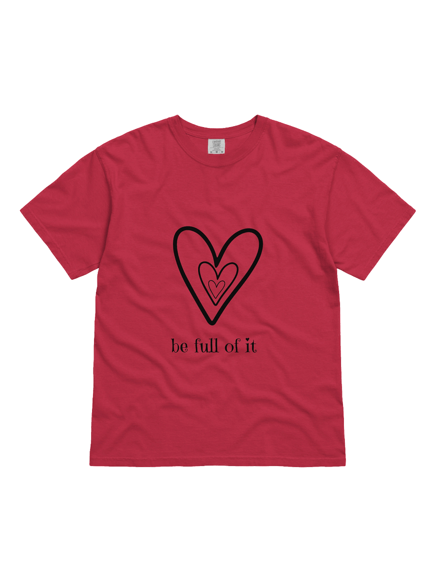 Be Full of It Heavyweight Comfort Tee product image (6)