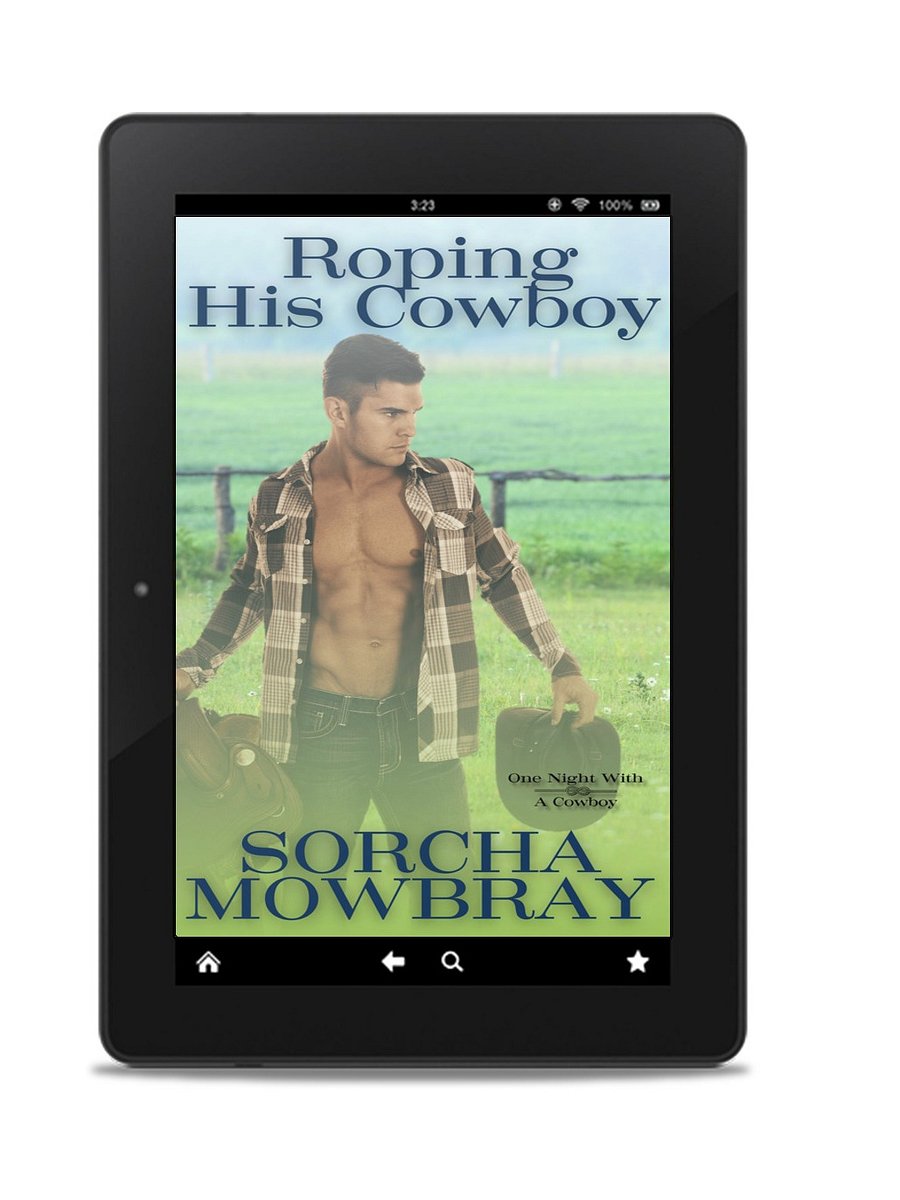 Roping His Cowboy (One Night With A Cowboy, Book 4) product image (1)