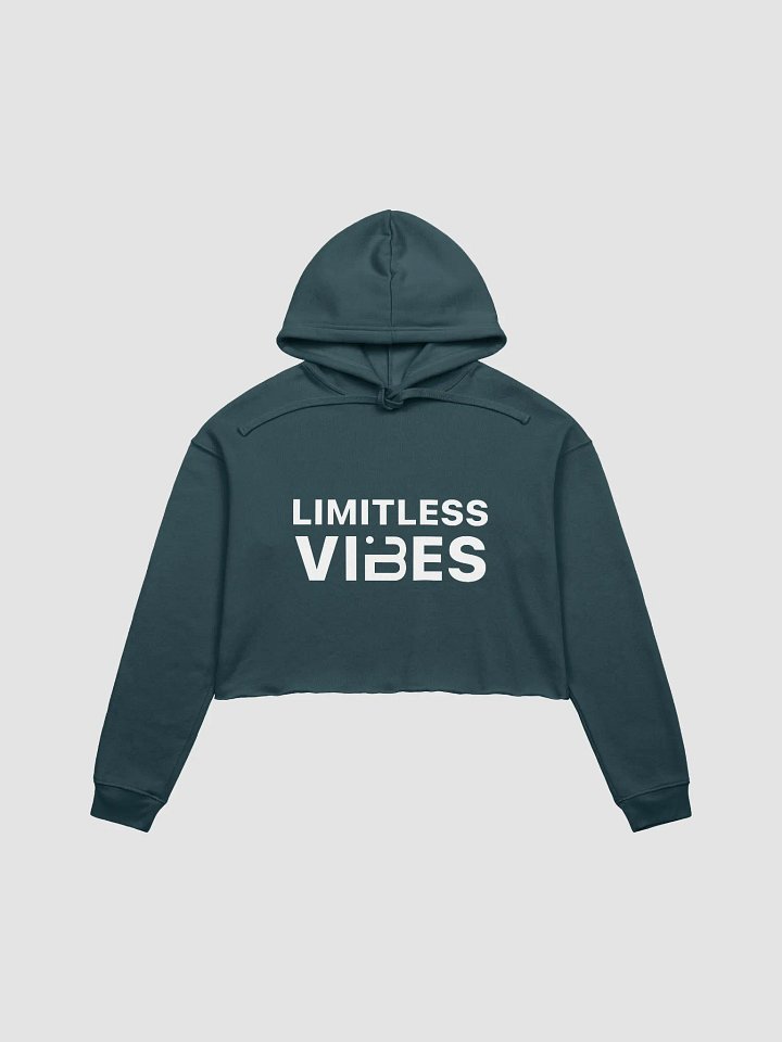 BUIII Limitless Vibes Fleece Crop Hoodie product image (6)