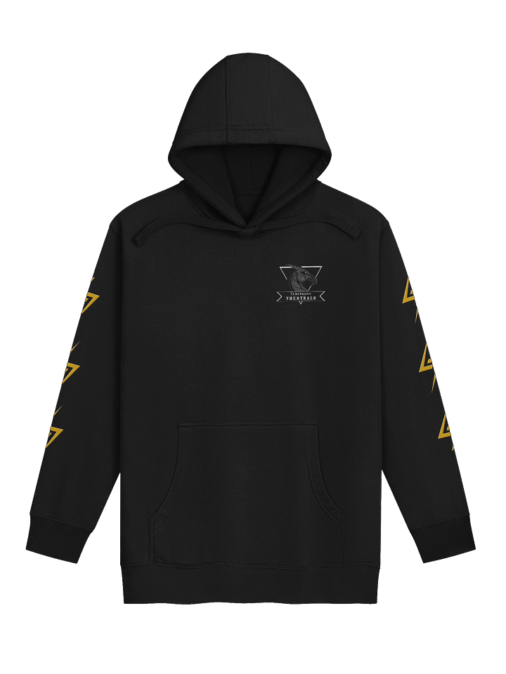Tenebrous Thestrals Team Hoodie product image (2)