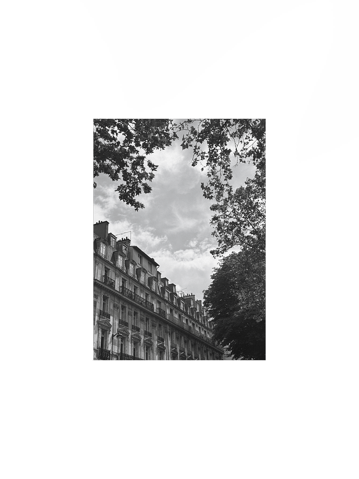 Toits ciel parisien dé-saturé (impression) product image (1)