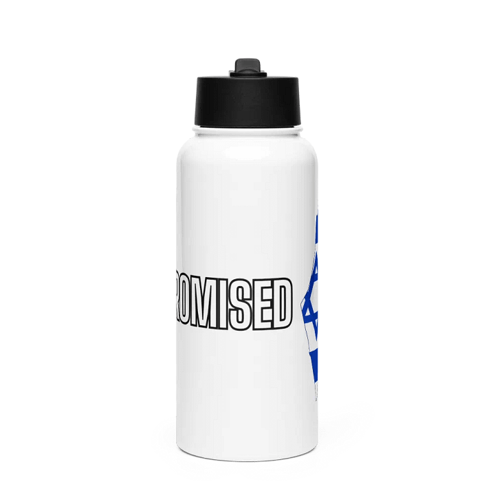 PROMISED Stainless Steel Water Bottle – Covenant Edition product image (1)