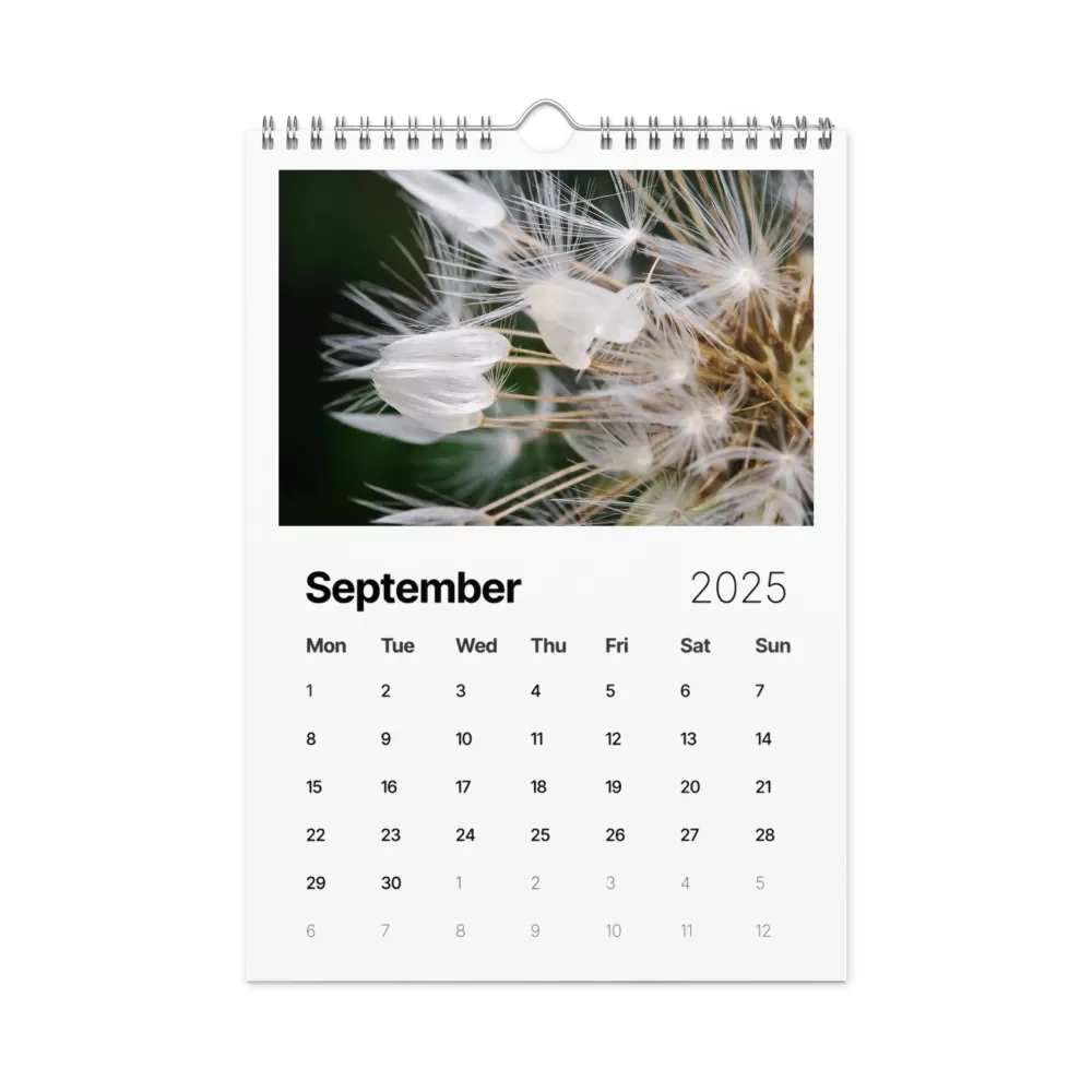 Ephemeral Dandelions 2025 Wall Calendar product image (10)