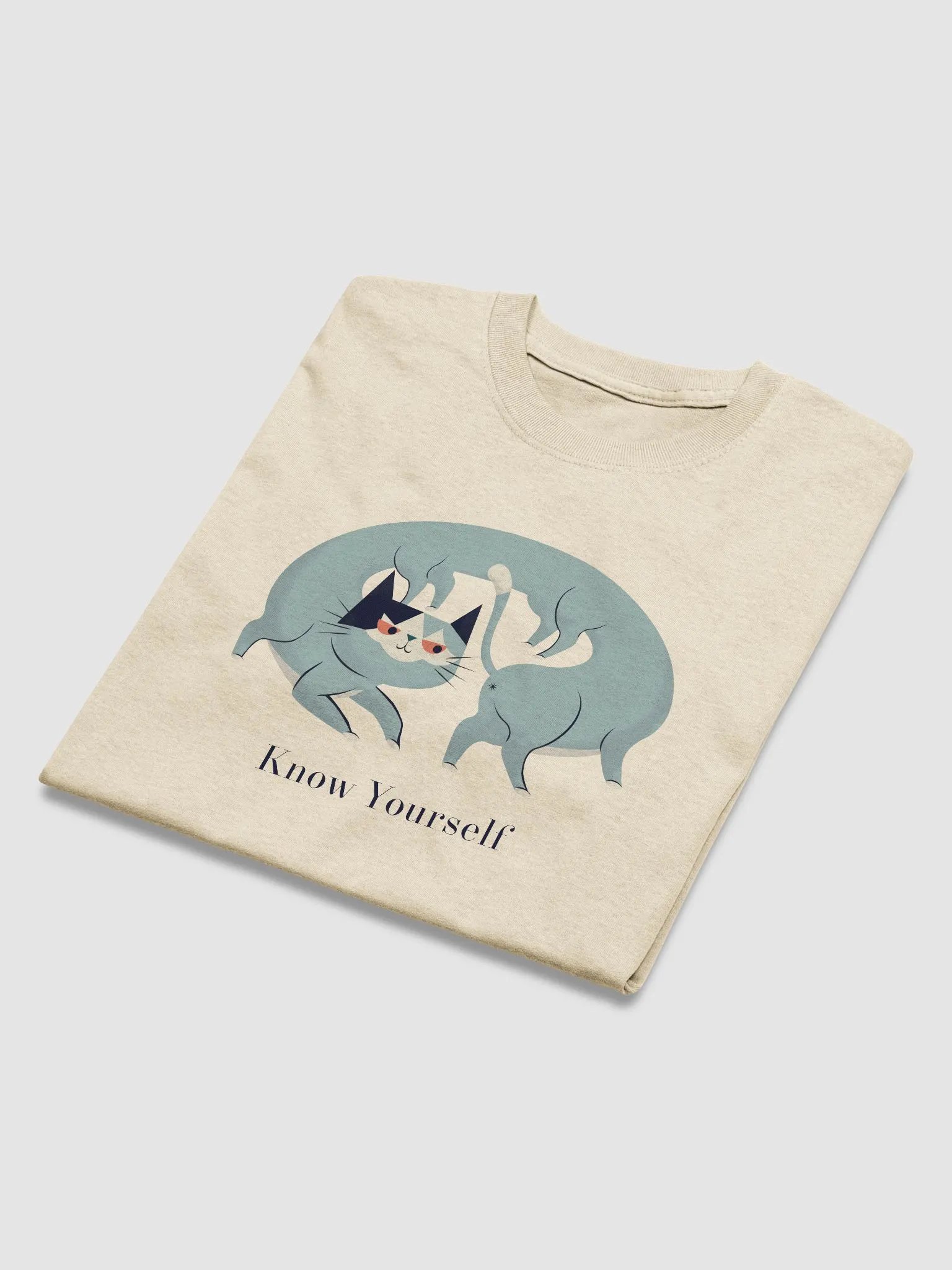 Know Yourself Heavyweight Unisex T-Shirt product image (16)