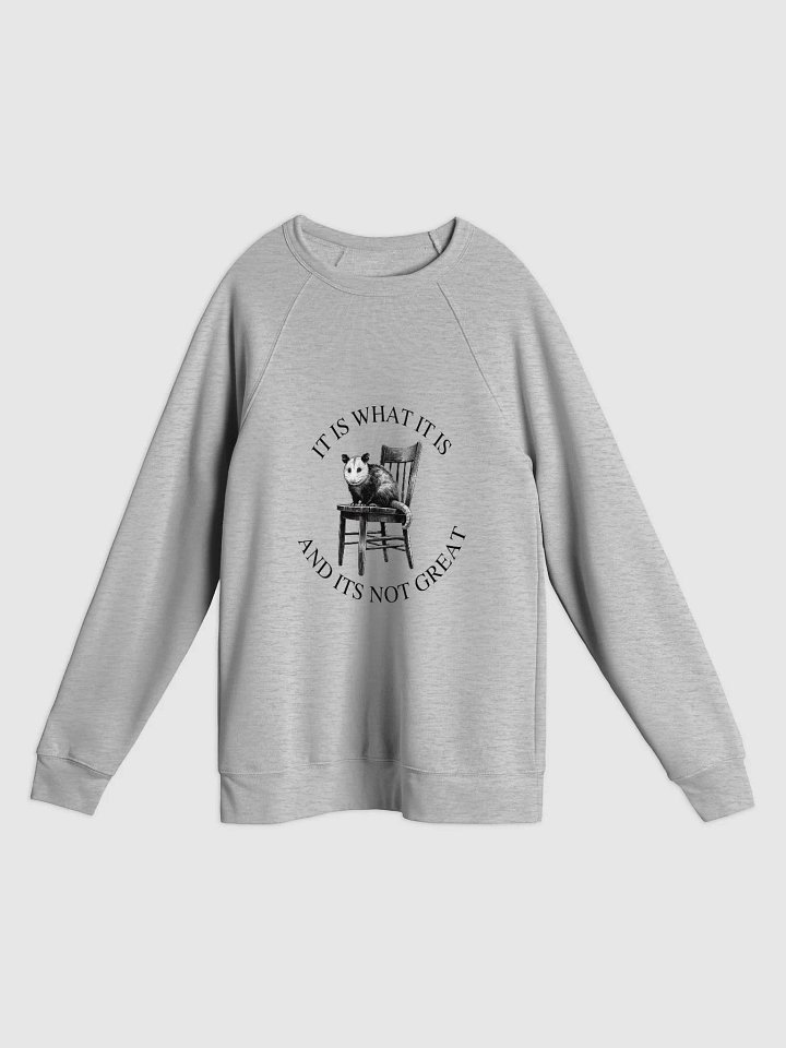 It Is What It Is Crewneck product image (1)