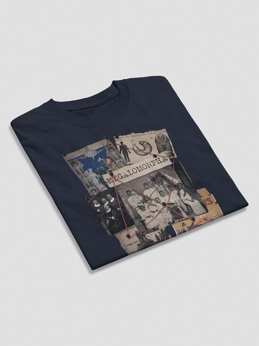 Megalomorpha product image (4)