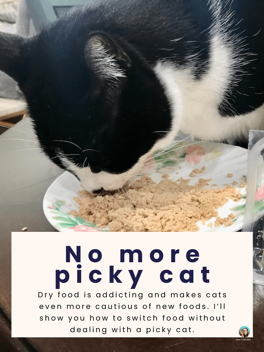Ditch the Kibble video course ~ How to switch your cat from dry to healthy wet freeze-dried, or premade raw product image (3)