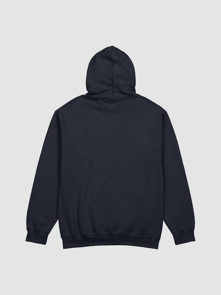 DG Est 2020 Hoodie product image (2)