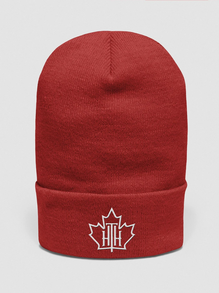 HTH Beanie product image (1)