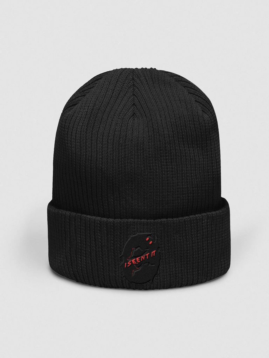 I Seen't It (Mothman) Beanie product image (7)