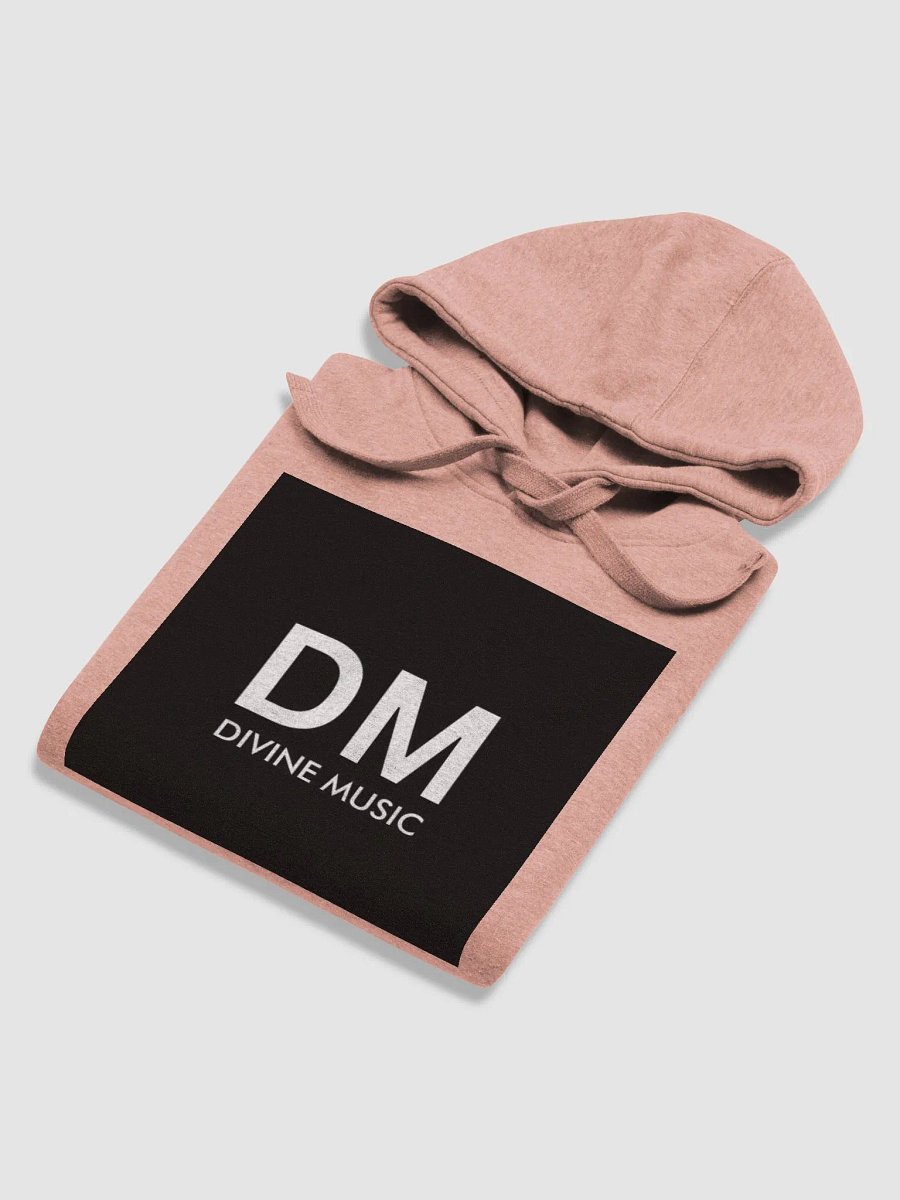 DIVINE HOODIE SALMON product image (6)