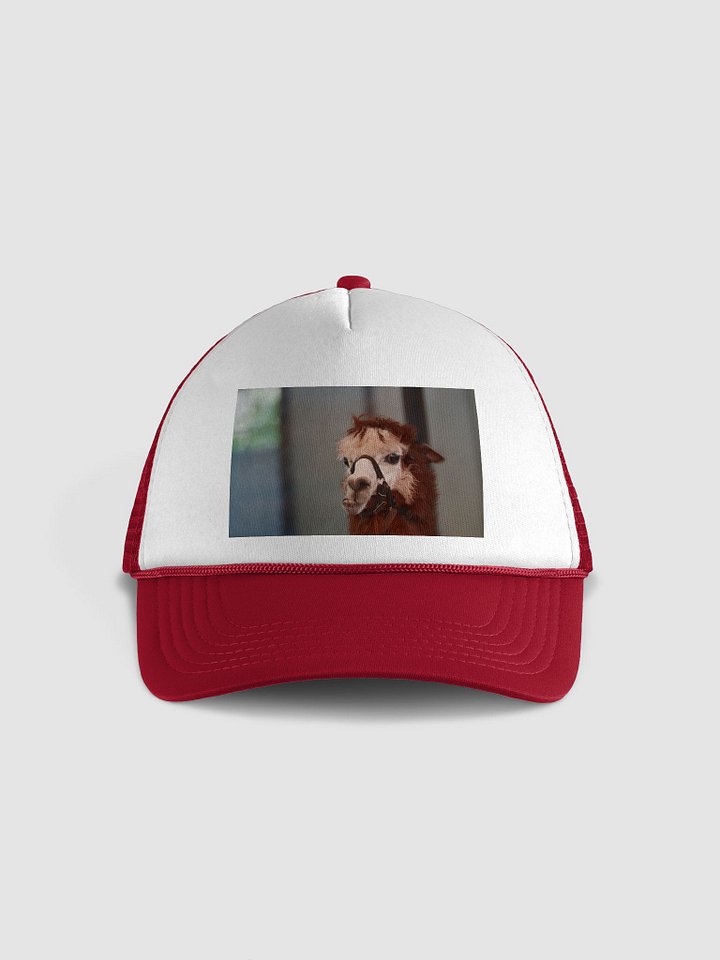Halter Llama Foam Trucker Hat product image (1)