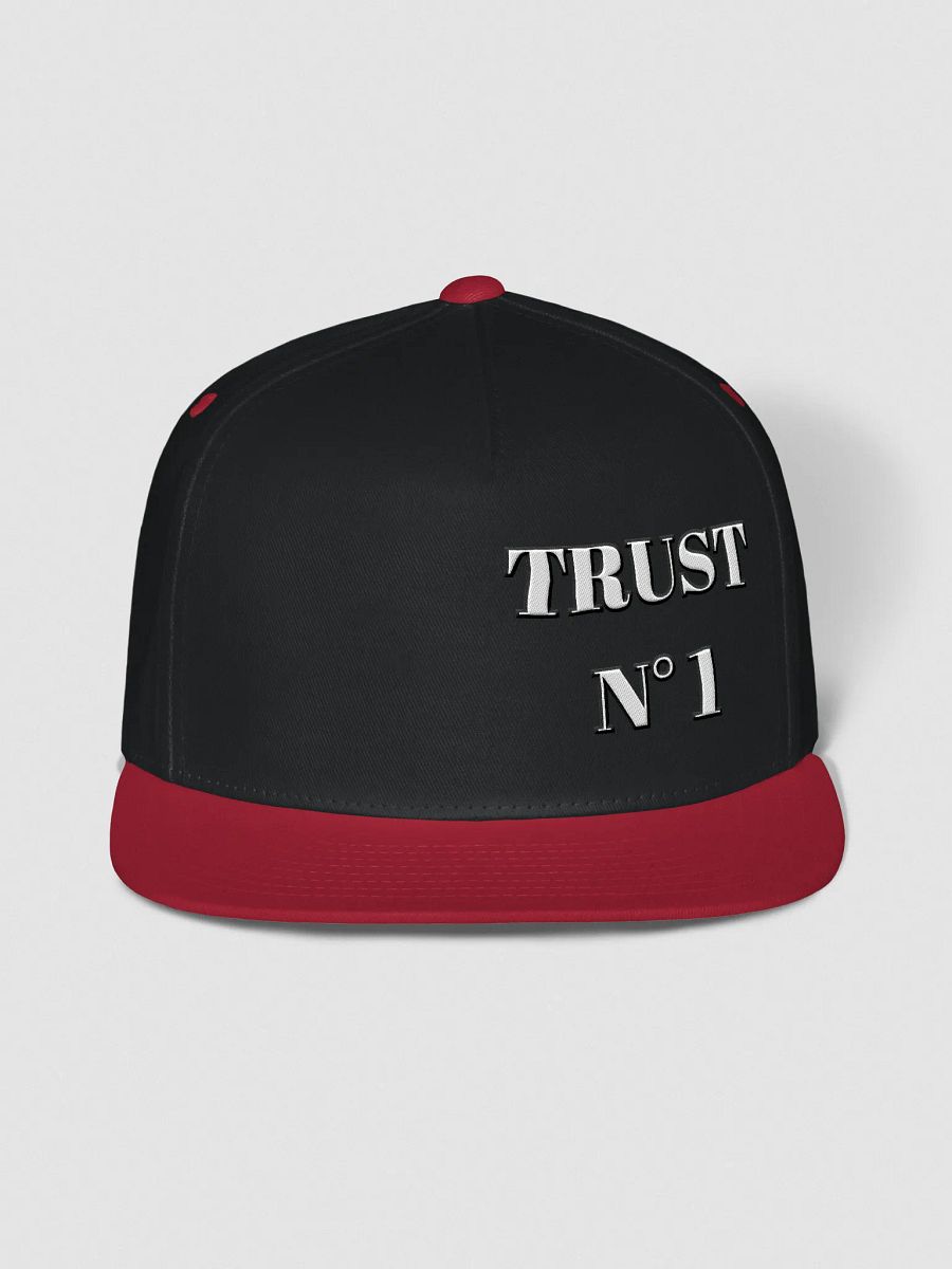 Trust SnapBack product image (27)