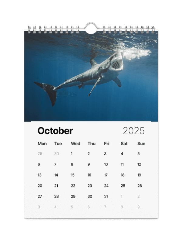The Malibu Artist 2025 Calendar product image (11)