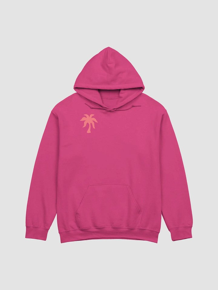 ppp hoodie product image (2)