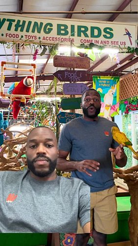 Check out our tour of the one and only @everything_birds in Tampa Florida! Link in bio❗️#parrots