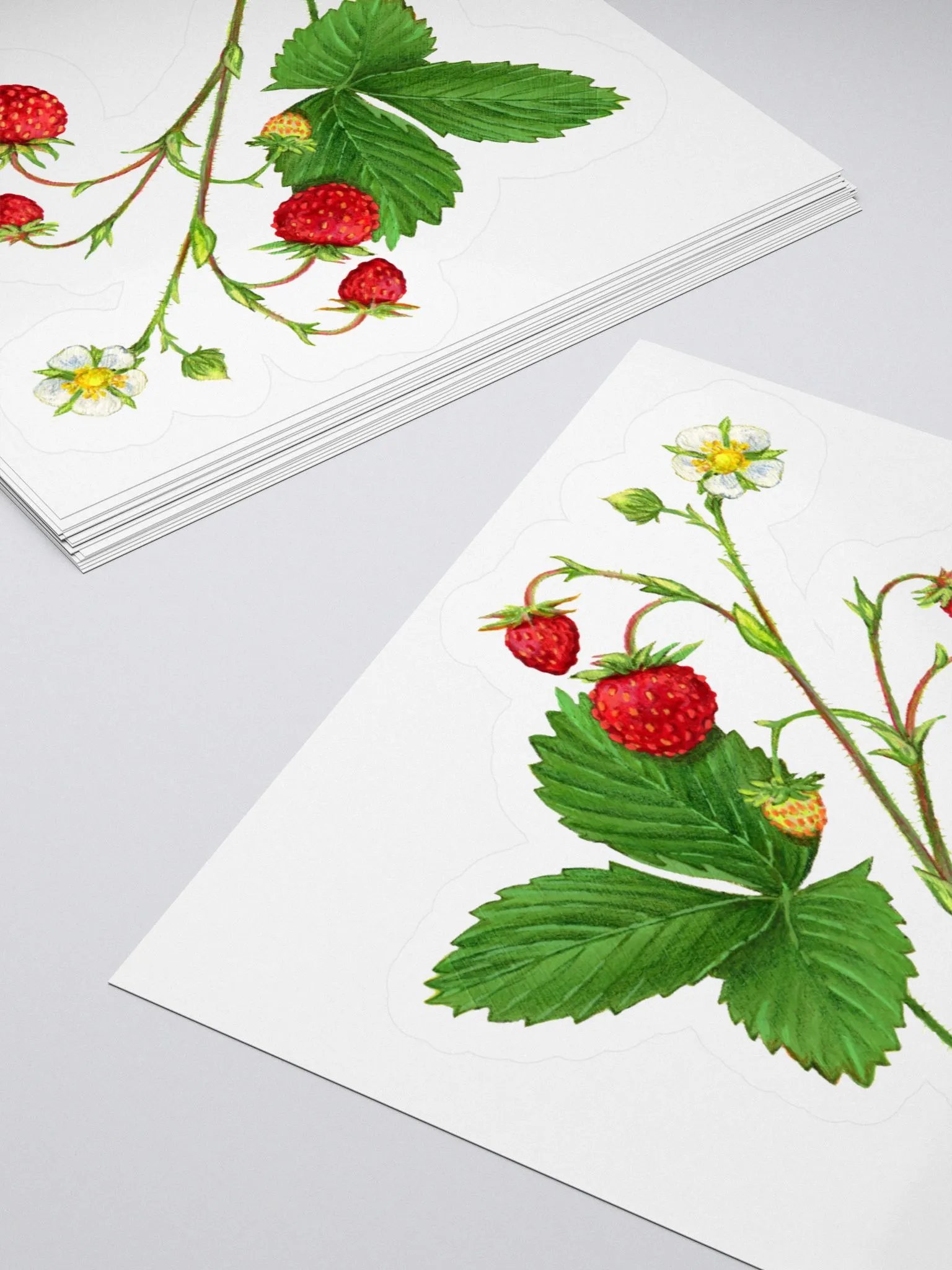 Wild strawberries illustration sticker product image (4)