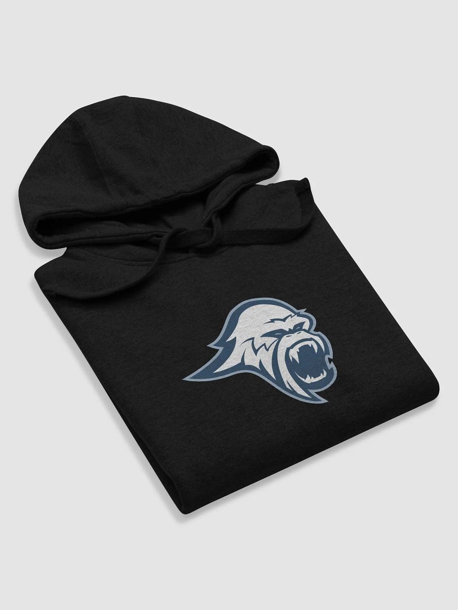 Blizzard Premium Unisex Hoodie product image (32)