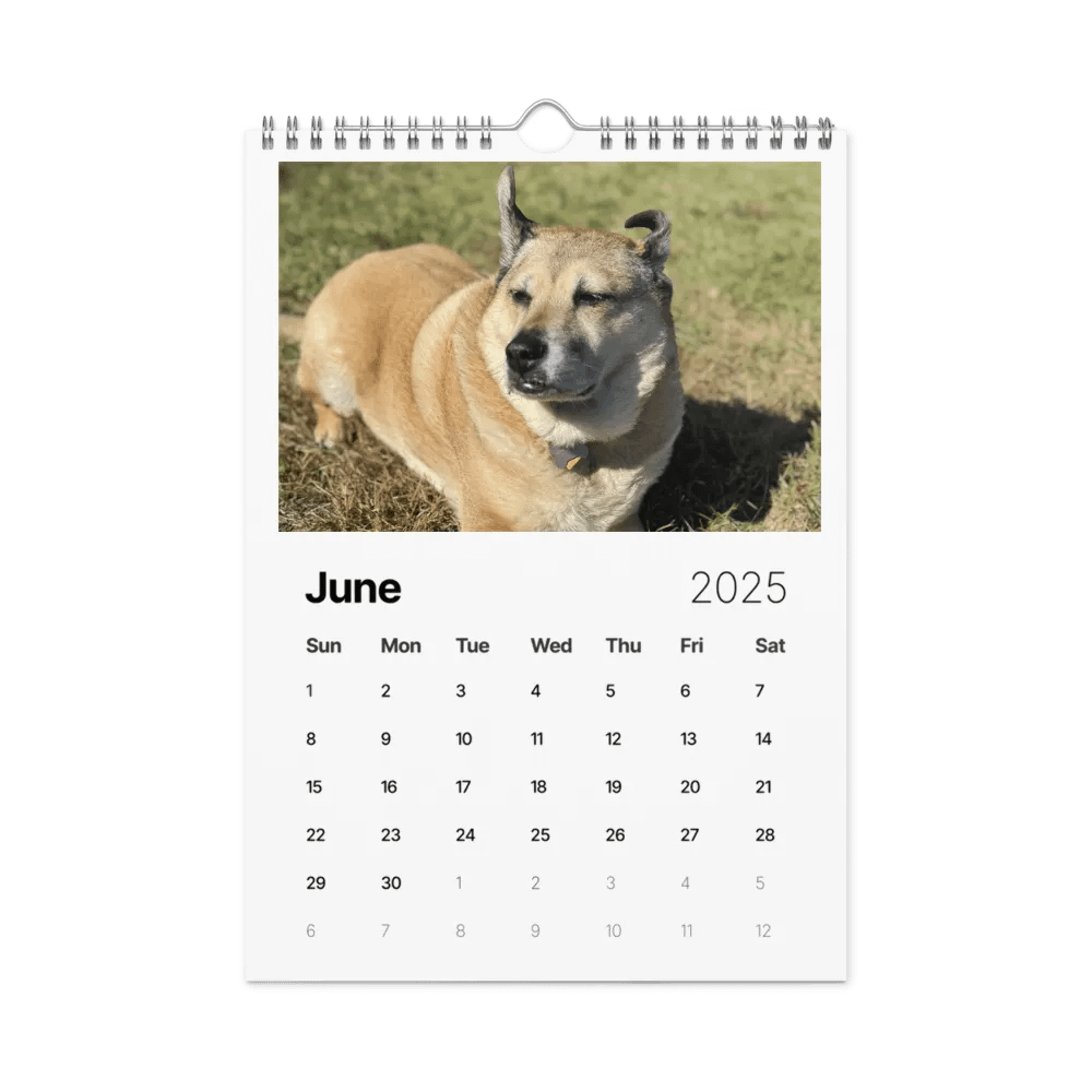 2025 Doggo Calendar product image (8)
