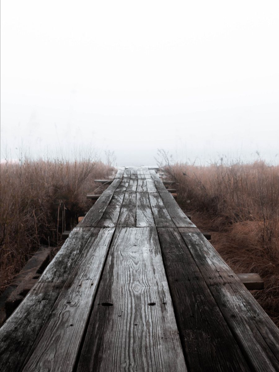 Going Nowhere... product image (1)