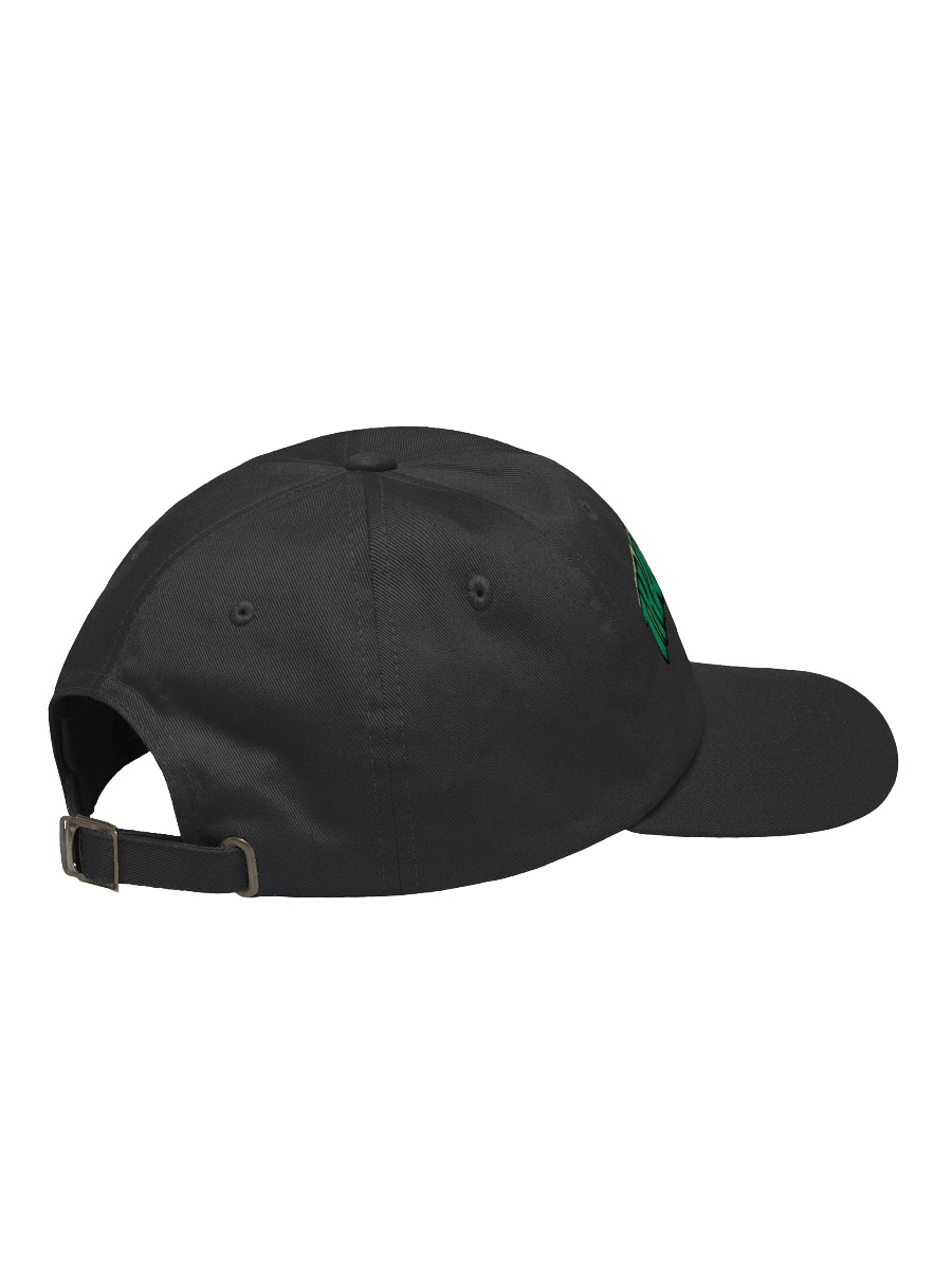 THATS_CDB EMBROIDERED DAD CAP product image (76)