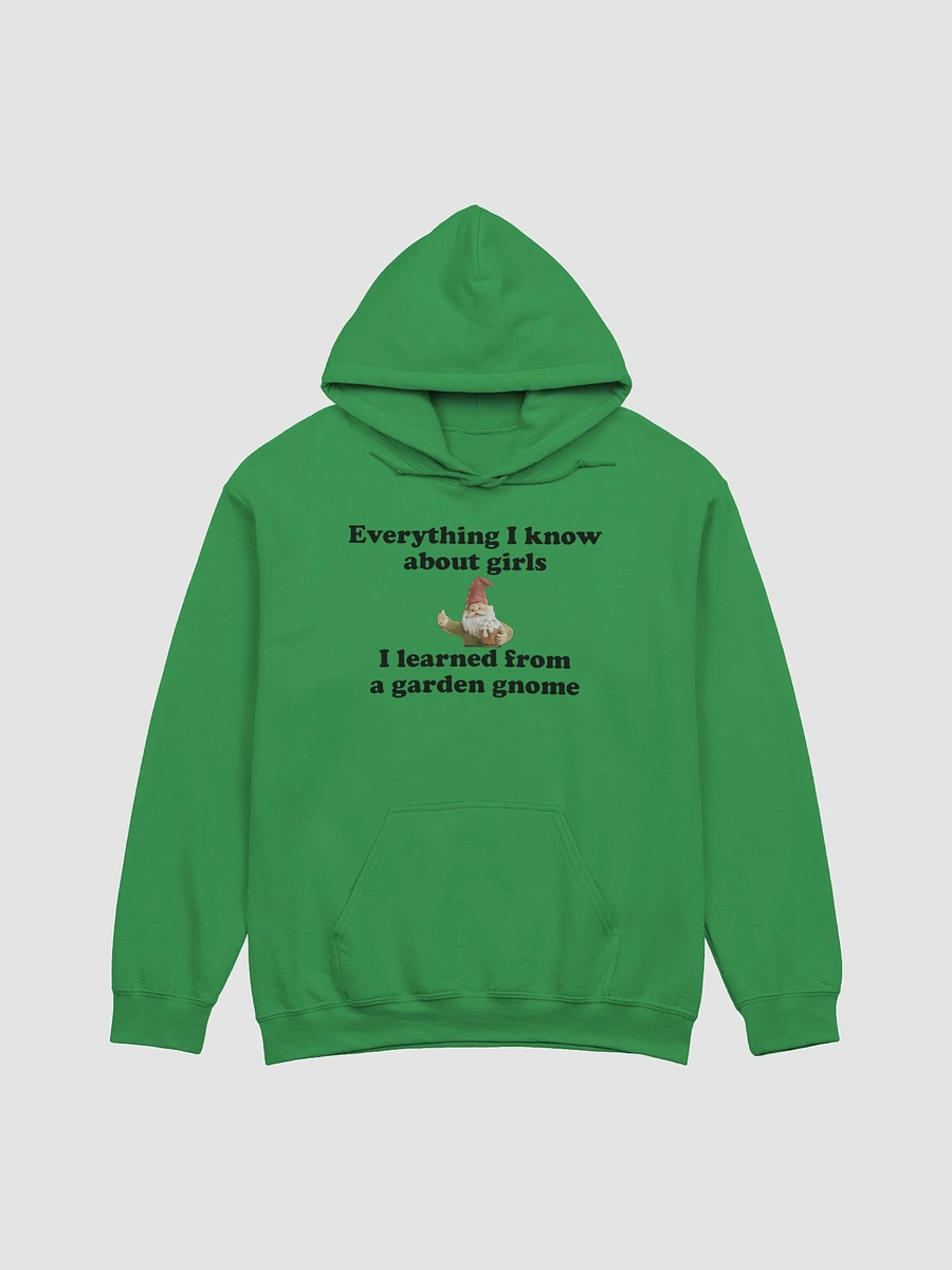 Everything I know about girls classic hoodie product image (9)