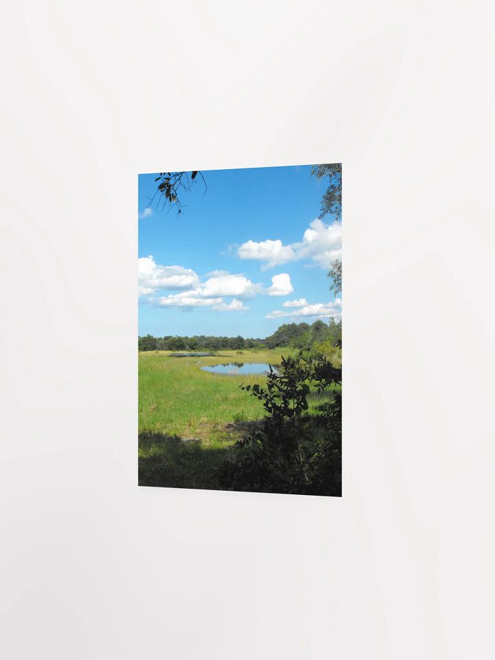 Florida Pond product image (19)