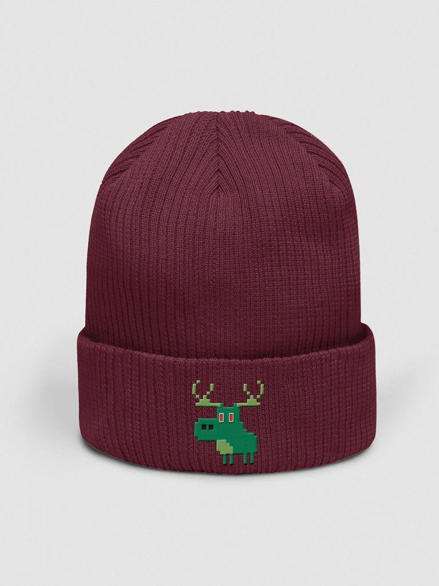 Iconic Green | Embroidered Beanie product image (37)