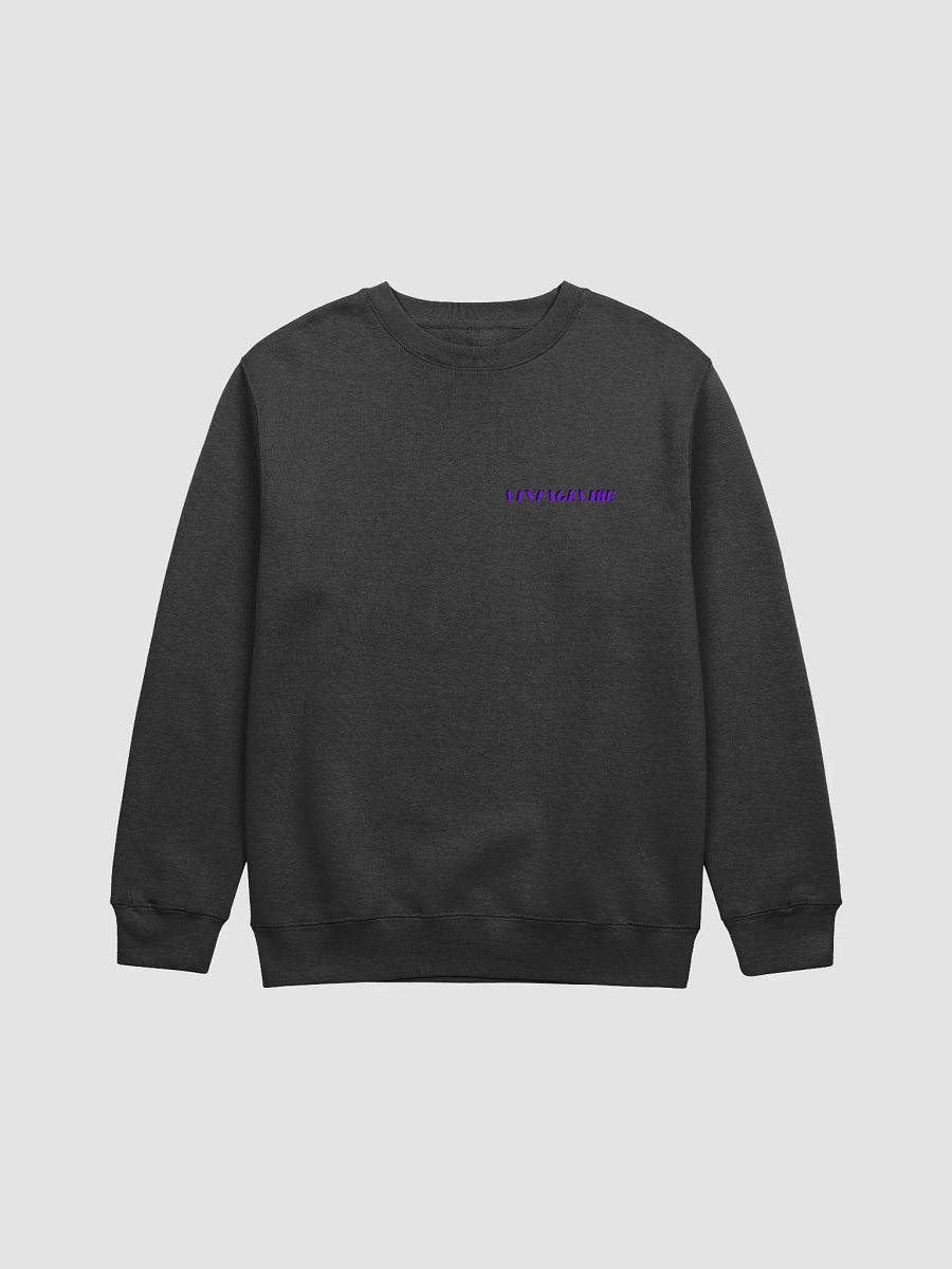 VINTAGE HOODY 1.0 product image (2)