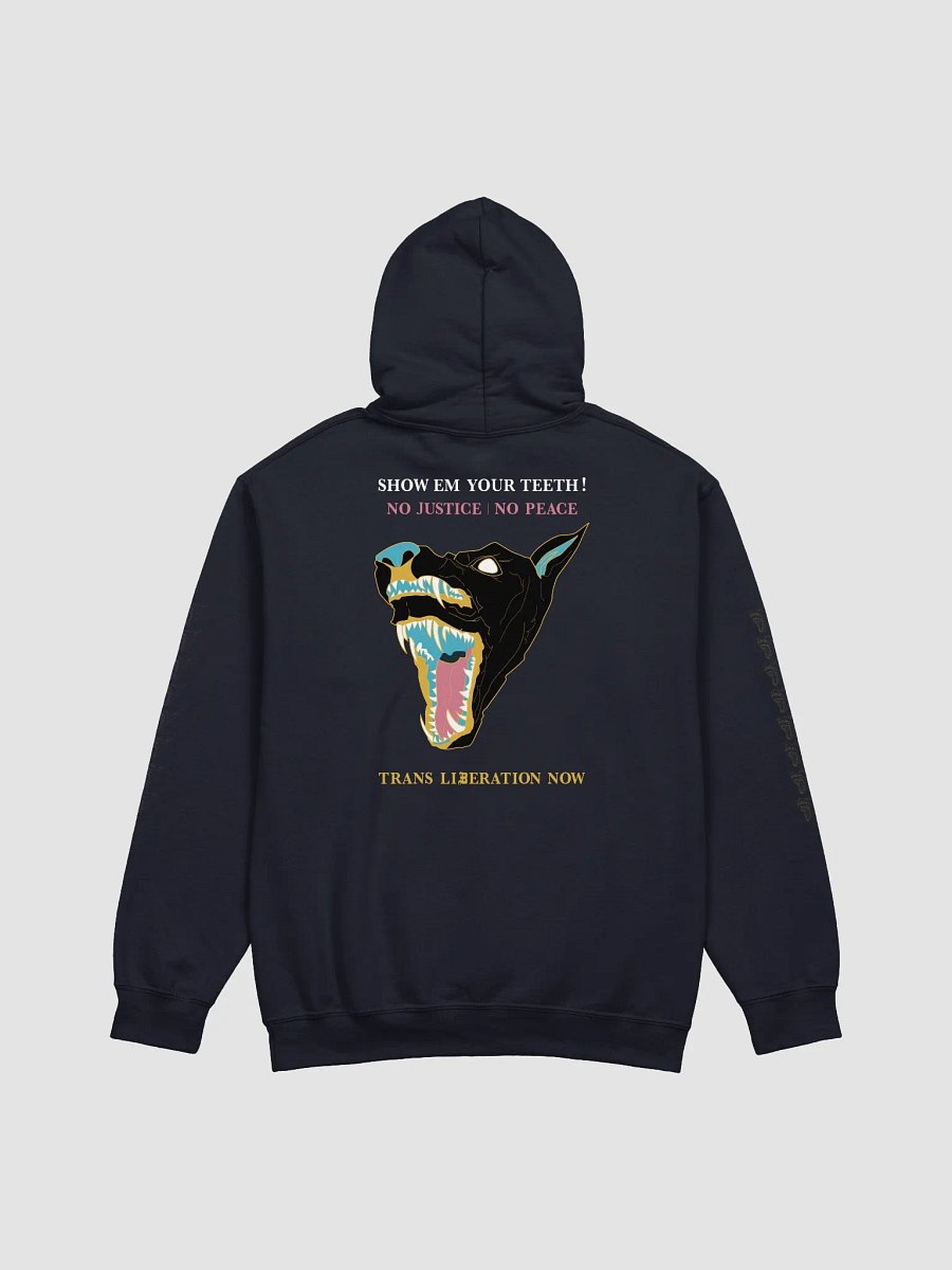 Show Em hoodie 2 product image (2)